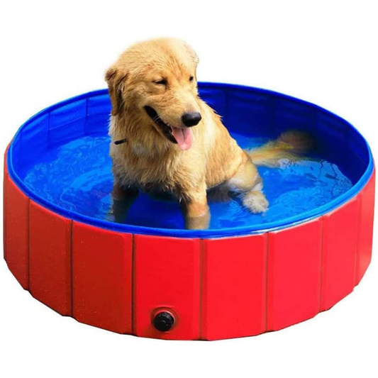 Dog Splash®